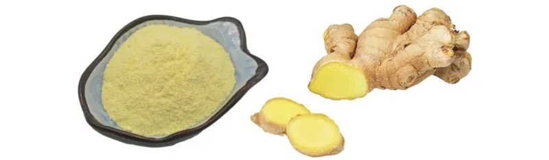 Photo of Ginger Root Extract Powder with 5 gingerol by Botanical Cube Inc Photo of Ginger Root Extract Powder with 5 gingerol by Botanical Cube Inc