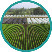 Self-operating planting base