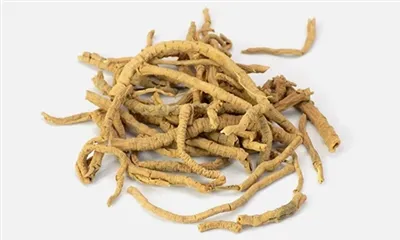 Kas Polygala aitab magada?