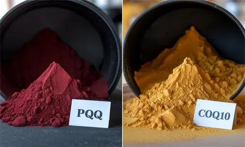 Do you need PQQ with CoQ10 Do you need PQQ with CoQ10