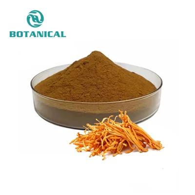 Cordyceps Militaris ekstrakti pulber