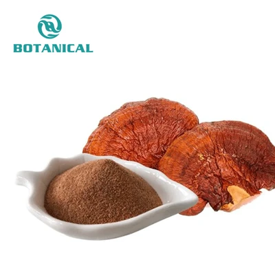 Reishi seeneekstrakt/ganoderma lucidumi ekstrakti pulber